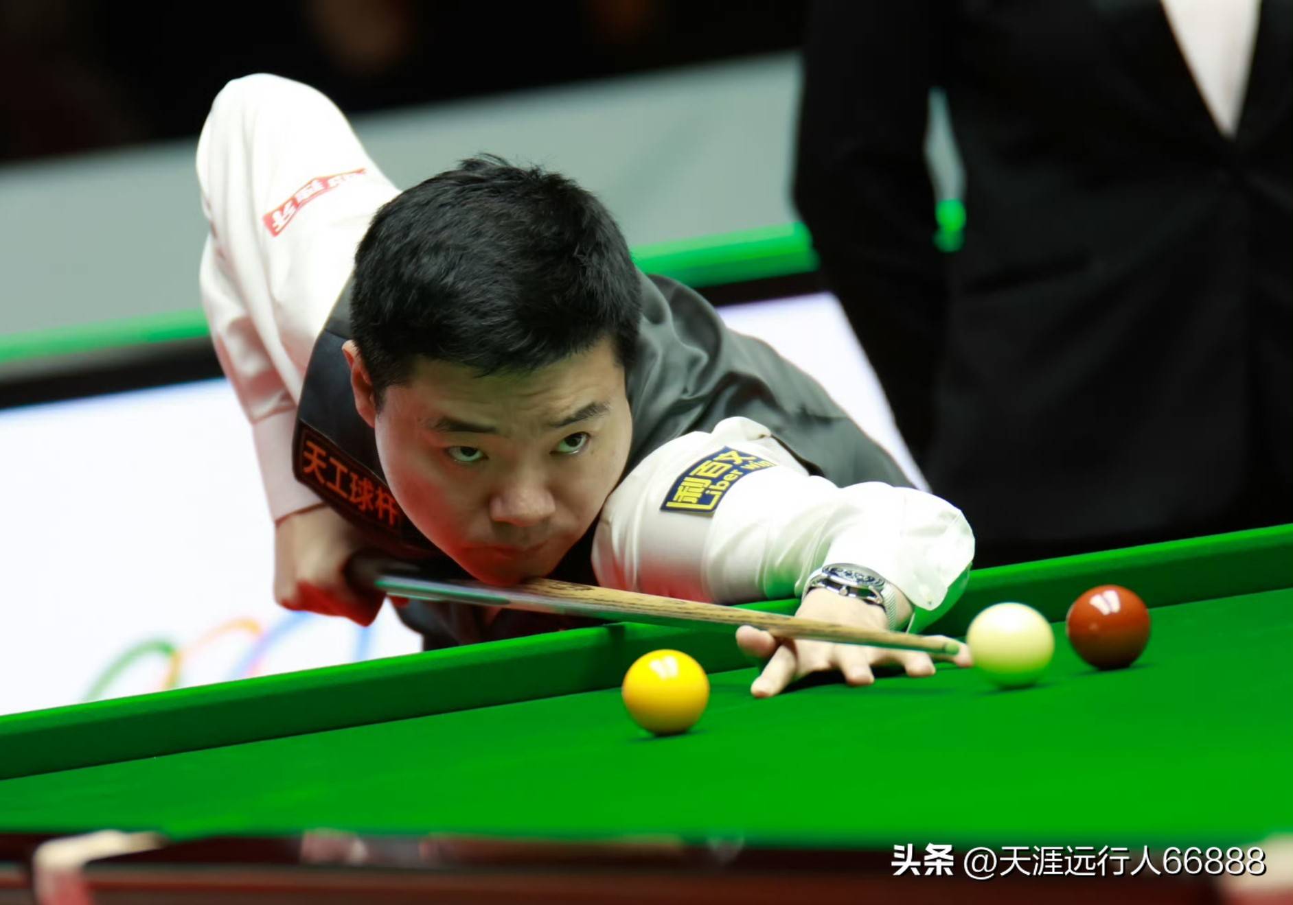 本届赛事特 本届赛事特