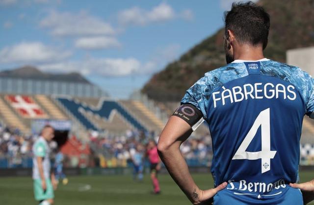 提供了参考 提供了参考